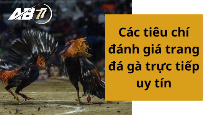 Các tiêu chí đánh giá trang đá gà uy tín